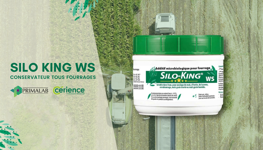 Nouveau produit: Silo King WS 